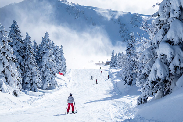 スキー場のイメージ